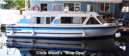Chris Wood’s “Blue Opal”