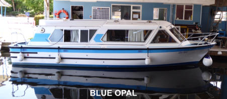 BLUE OPAL